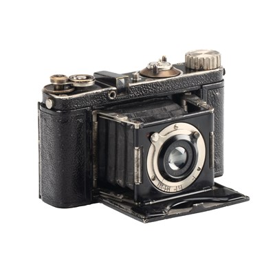 Lot 255 - Lumiere Elax