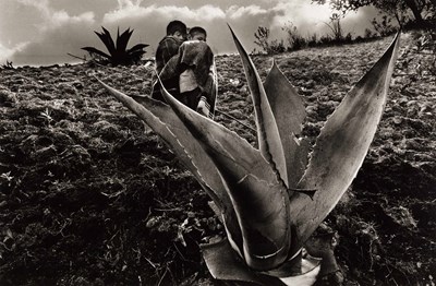 Lot 26 - SEBASTIÃO SALGADO (1944–2025)