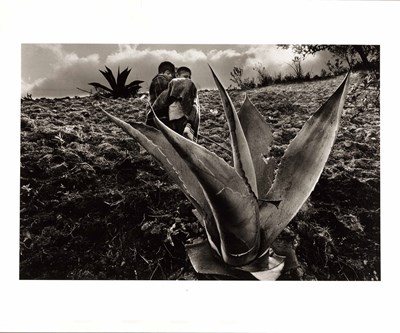 Lot 26 - SEBASTIÃO SALGADO (1944–2025)