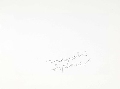 Lot 35 - NOBUYOSHI ARAKI (*1940)