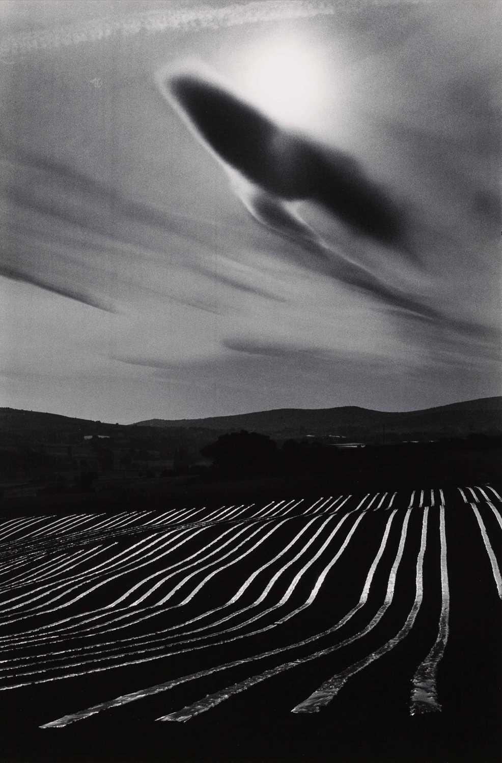 Lot 37 - MARTINE FRANCK (1938–2012)