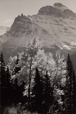 Lot 40 - ANSEL ADAMS (1902–1984)