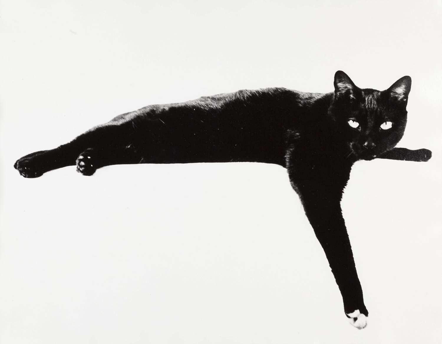 Lot 41 - ROLAND PLETERSKI (1920–2000)