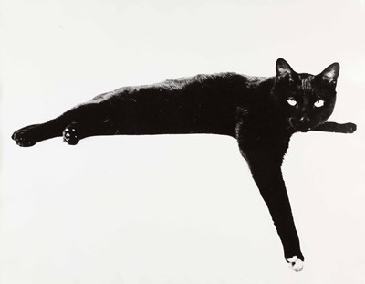 Lot 41 - ROLAND PLETERSKI (1920–2000)