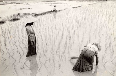 Lot 54 - THOMAS HOEPKER (1936–2024)