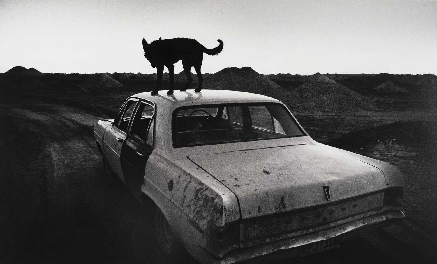 Lot 74 - WIM WENDERS (*1945)
