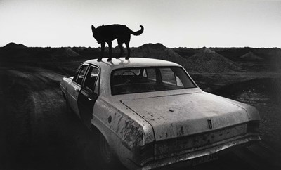 Lot 74 - WIM WENDERS (*1945)