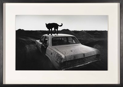 Lot 74 - WIM WENDERS (*1945)