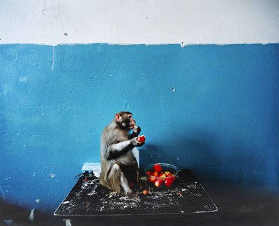 Lot 135 - REINER RIEDLER (*1968)