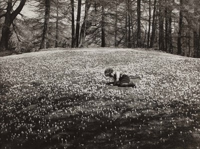 Lot 159 - ALBERT STEINER (1877–1965)