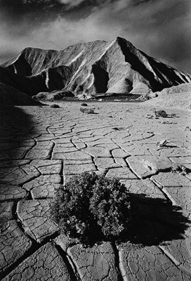 Lot 190 - JEANLOUP SIEFF (1933–2000)