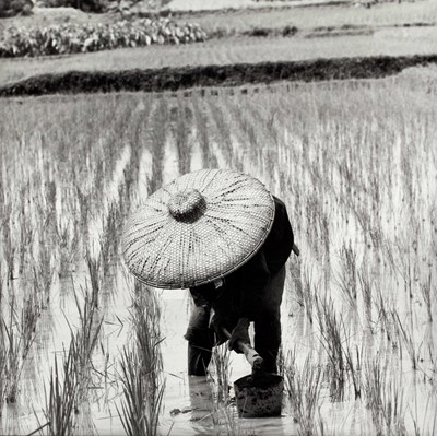 Lot 192 - PAUL ALMÁSY (1906–2003)