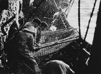 Lot 193 - MIHALY MOLDVAY (1938–2024)