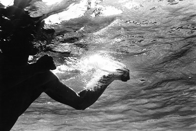 Lot 199 - FLIP SCHULKE (1930–2008)