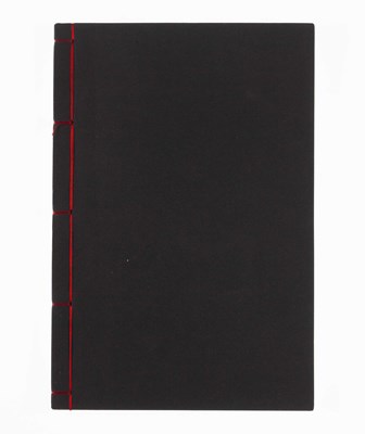 Lot 233 - NOBUYOSHI ARAKI (*1940)