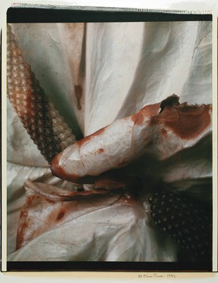 Lot 238 - CHRIS ENOS (*1944)