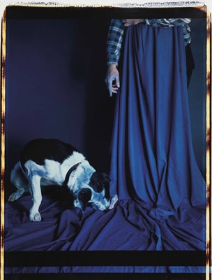 Lot 245 - WILLIAM WEGMAN (*1943)