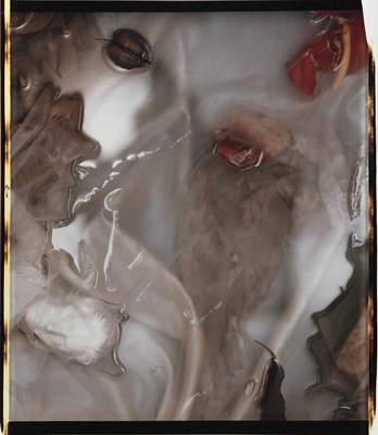 Lot 246 - SALLY MANN (*1951)