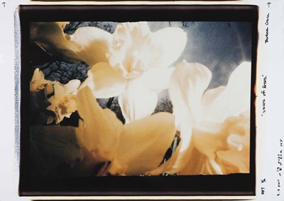 Lot 247 - BARBARA CRANE (1928–2019)