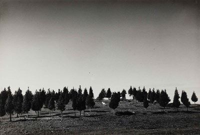 Lot 44 - ANDRÉ KERTÉSZ (1894–1985)