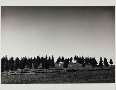 Lot 44 - ANDRÉ KERTÉSZ (1894–1985)