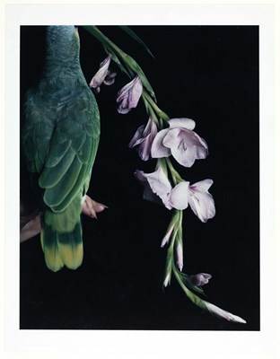 Lot 173 - SANDI FELLMAN (*1952)