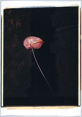 Lot 185 - KLAUS FRAHM (*1953)