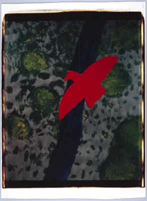 Lot 186 - JOHN DIVOLA (*1949)