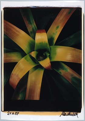 Lot 188 - ULRICH MACK (1934–2024)
