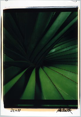 Lot 189 - ULRICH MACK (1934–2024)