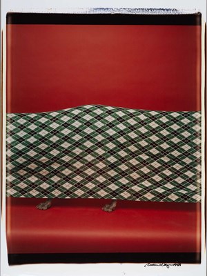 Lot 193 - WILLIAM WEGMAN (*1943)