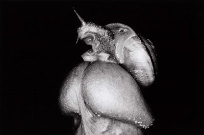 Lot 199 - NOBUYOSHI ARAKI (*1940)