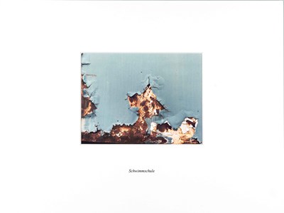Lot 251 - DAVID SCHALKO (*1973)
