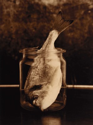 Lot 255 - NATASCHA AUENHAMMER (*1964)