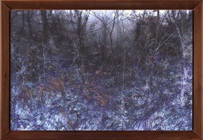 Lot 259 - YVONNE OSWALD (*1958)