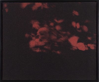 Lot 264 - BIRGIT GRASCHOPF (*1978)