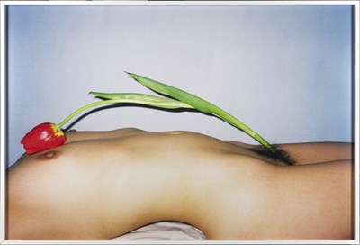 Lot 109 - REN HANG (1987–2017)