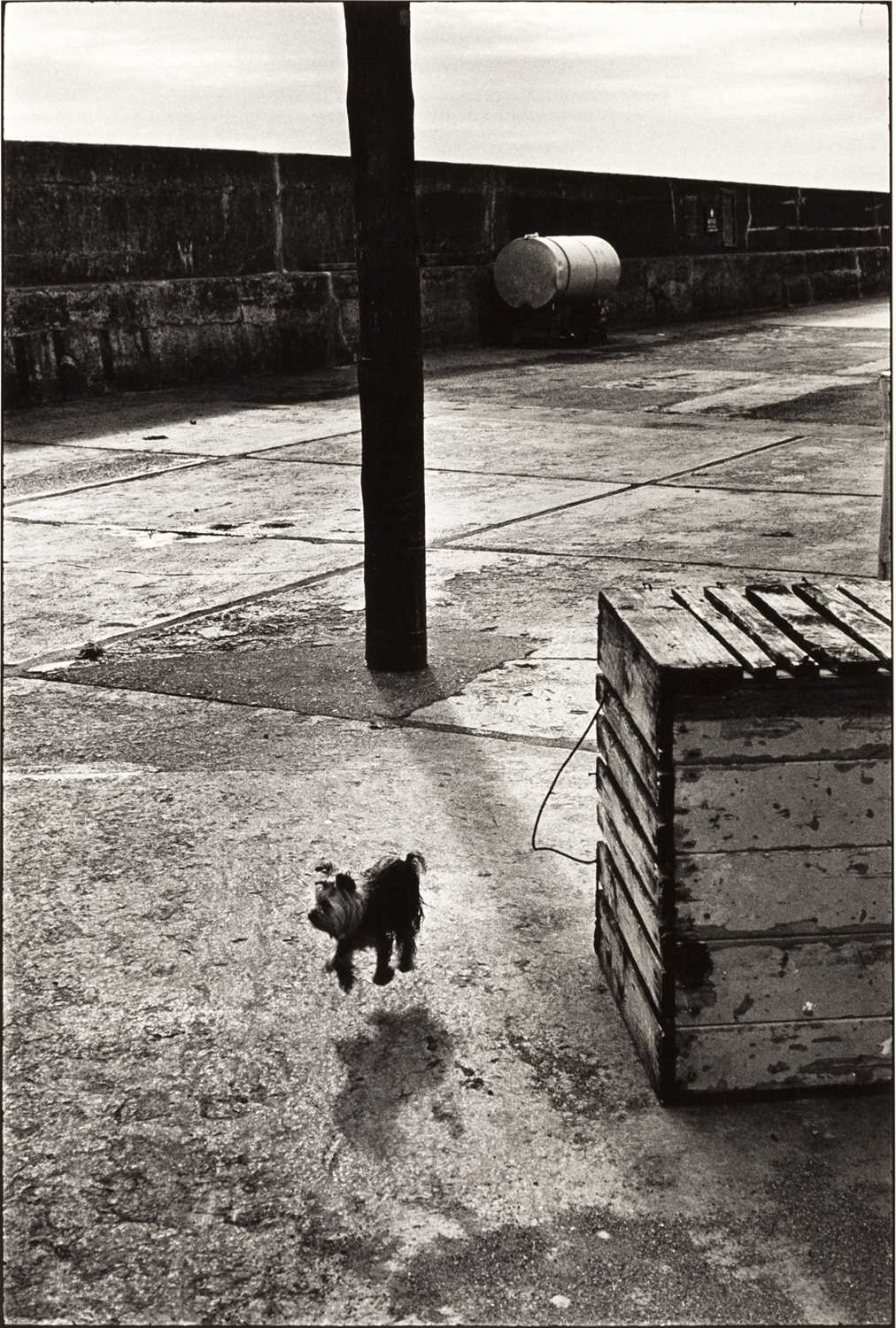 Lot 145 - ELLIOTT ERWITT (*1928)