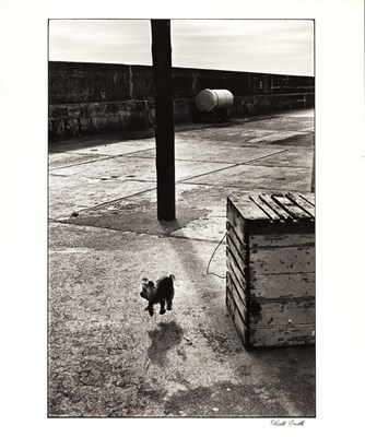 Lot 145 - ELLIOTT ERWITT (*1928)