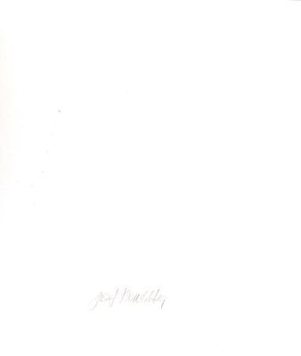 Lot 168 - JOSEF KOUDELKA (*1938)