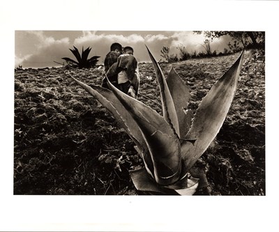 Lot 189 - SEBASTIÃO SALGADO (*1944)