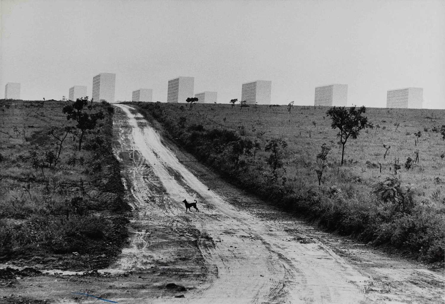 Lot 70 - ELLIOTT ERWITT (1928–2023)